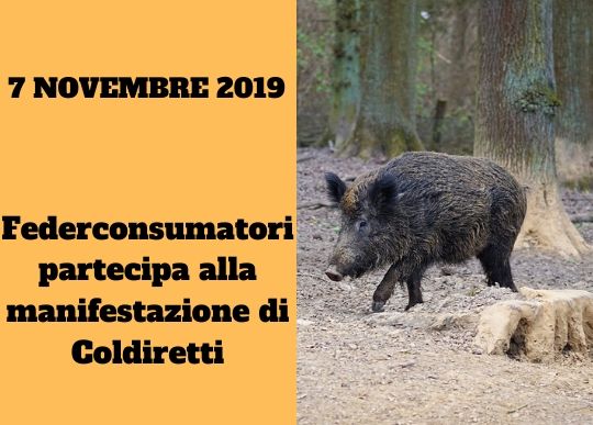 federconsumatori coldiretti (1).jpg